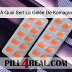 À Quoi Sert La Gelée De Kamagra 27